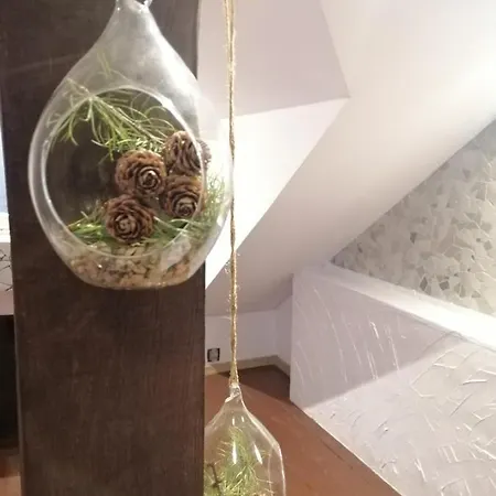 Ewa Dom Affittacamere *